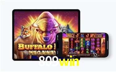 809win